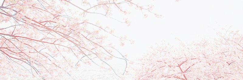 hallyupacks's tweet photo. 🌿park seo joon twitter layouts🌿
- 2 icons + 2 headers
- rt if saving/using https://t.co/HzBJkP1DtV