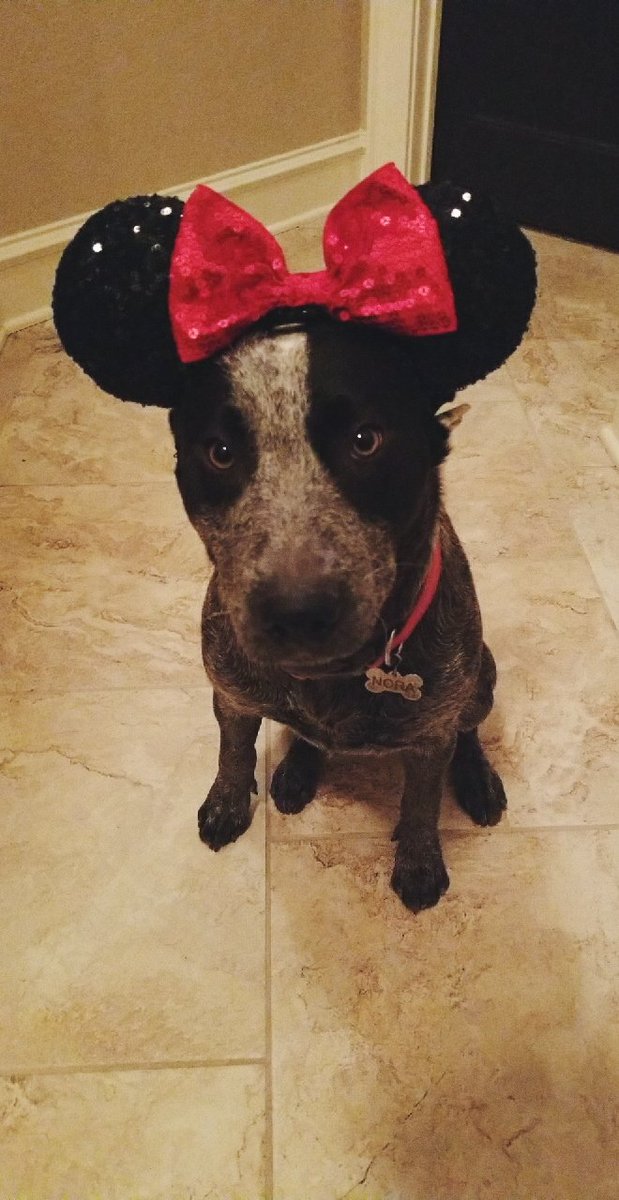 Dorian A. Kelton tweet media