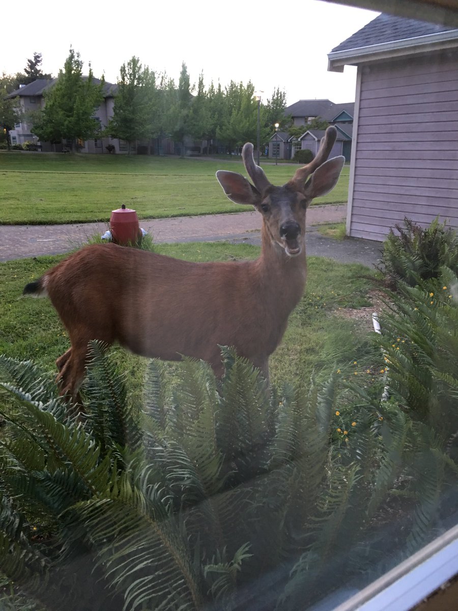 Scott Paul McGinnis tweet media