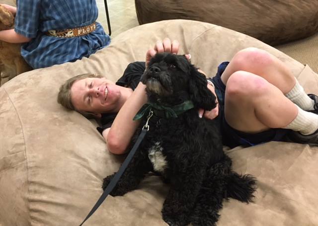 SVA4Autism's tweet photo. We're all smiles when our furry friends are around. Thanks again Therapy Animals of Utah! #RespectandConnection #JoyInTheJourney https://t.co/ULtv5lkh09