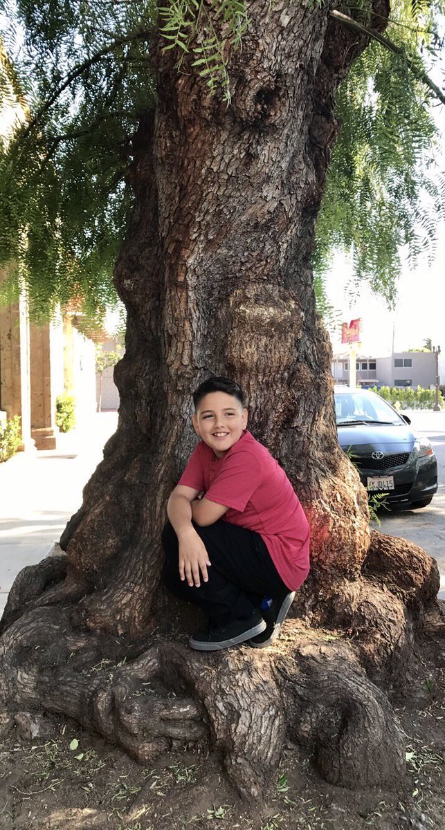 Dominic_DLT's tweet photo. Whoa!! I almost forgot to post this pic. This tree was massive🌳#tree
#treehouse #adventureexperiences #la #auditions #kidactor #dominicdlt😎 https://t.co/dVwK3YYmo4