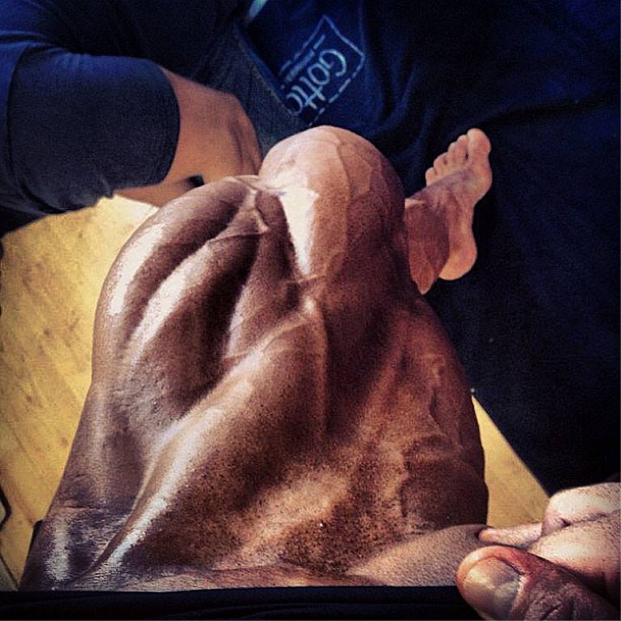 Bullpdr's tweet photo. Put some fucking under pants on at least.#leg #Bodybuilding #muscles
#KingoftheBodybuilding #exercise #muscleman >>>https://t.co/FLtH1PXMvm https://t.co/ebbsiq3yjN