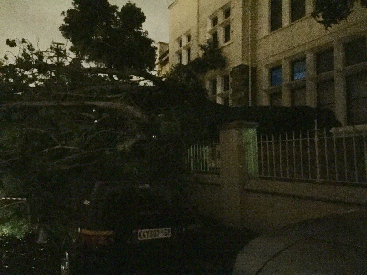 Dinx_B's tweet image. Tree blown onto car outside #queensparkhigh in #woodstock. #capestorm