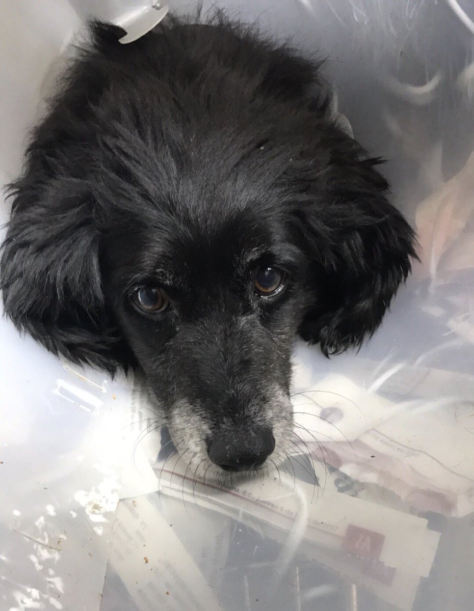 victorlime's tweet photo. 🤕 https://t.co/CDPlvKOwyP