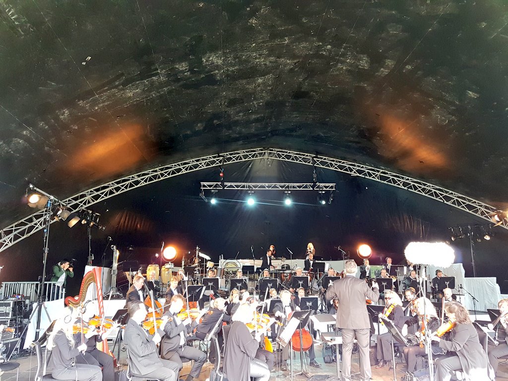 Timi Ogunyemi 🇮🇪🇳🇬🇵🇸 tweet media