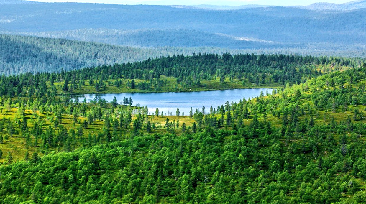 Тюрингский лес