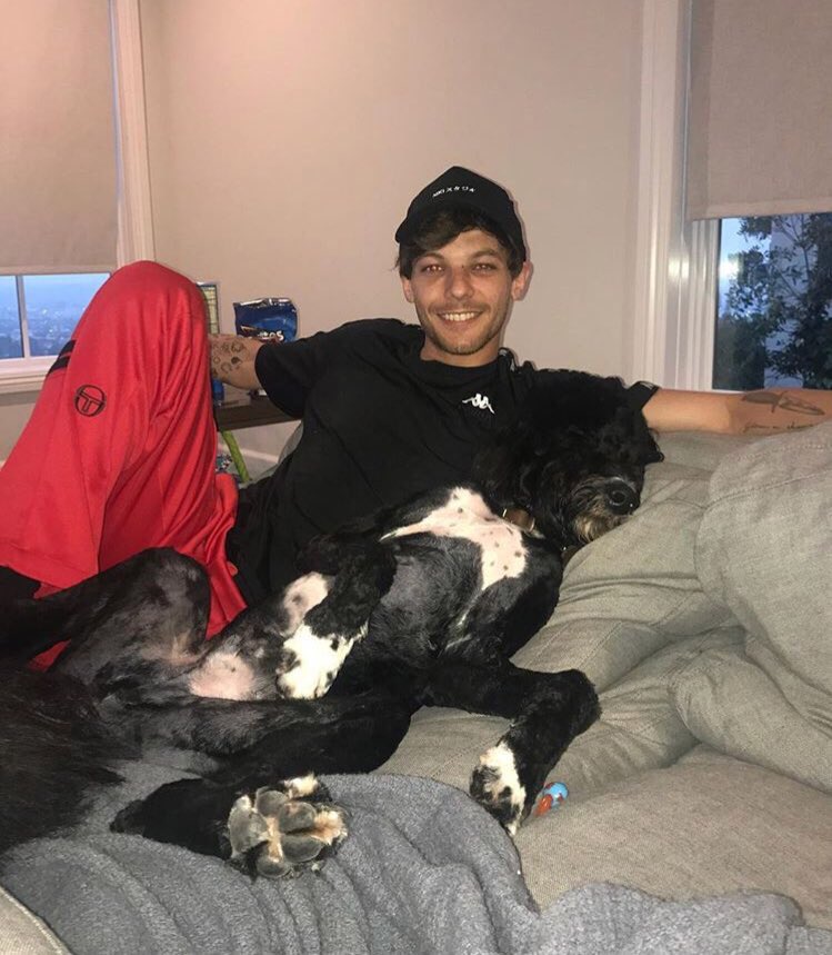 ReasonToLoveEJC's tweet photo. Parents Goals💑🐶❤️ https://t.co/SLrgCryYR8