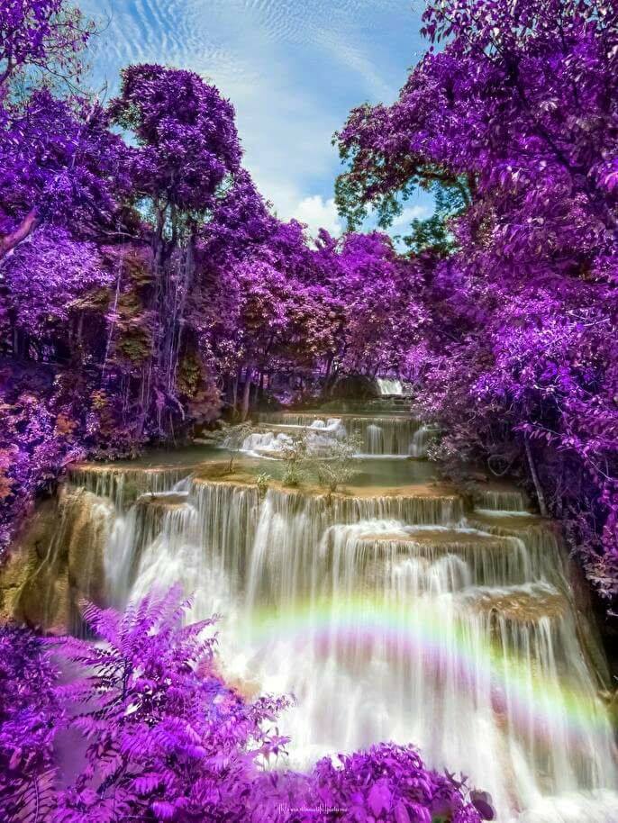 Thank you for all the likes, retweets and beautiful pics and quotes and bible verses and everybody's else tweets. Hugs and kisses. 😚❤