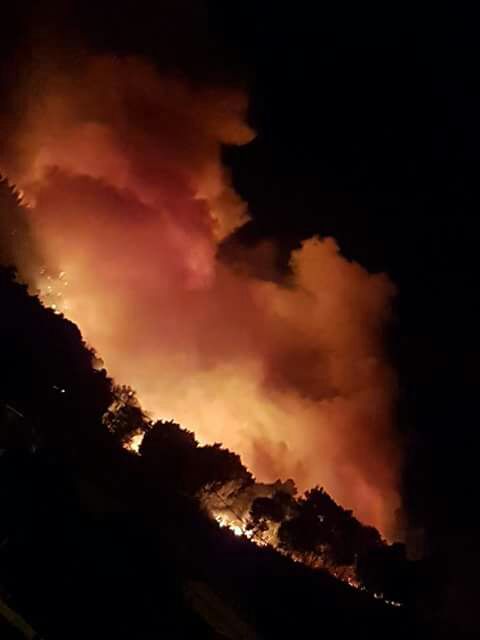 MrCow_man's tweet photo. #CapeStorm #N2Fire Authorities say the road will remain closed for +-3 hours.
Two more fires raging in the Karatara/Sedgefield area #sabcwc https://t.co/bgYo6UUx8J