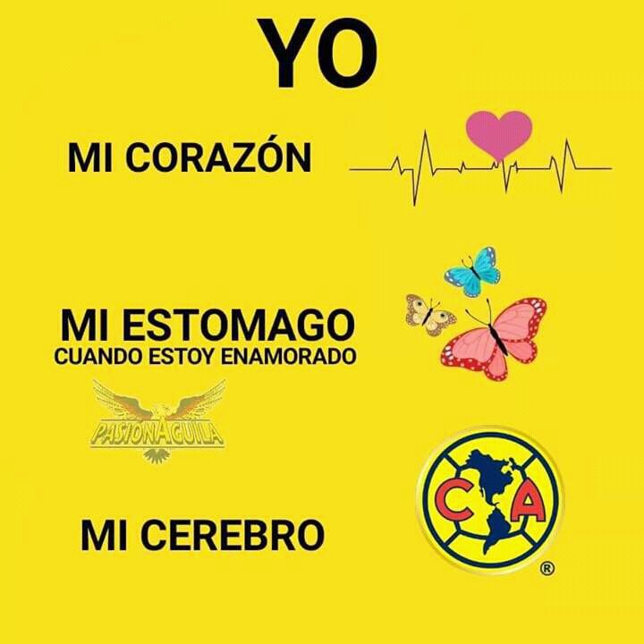yeli222's tweet photo. Aguilas  de corazonnnn... mi vidaa https://t.co/zGDu2tAl04