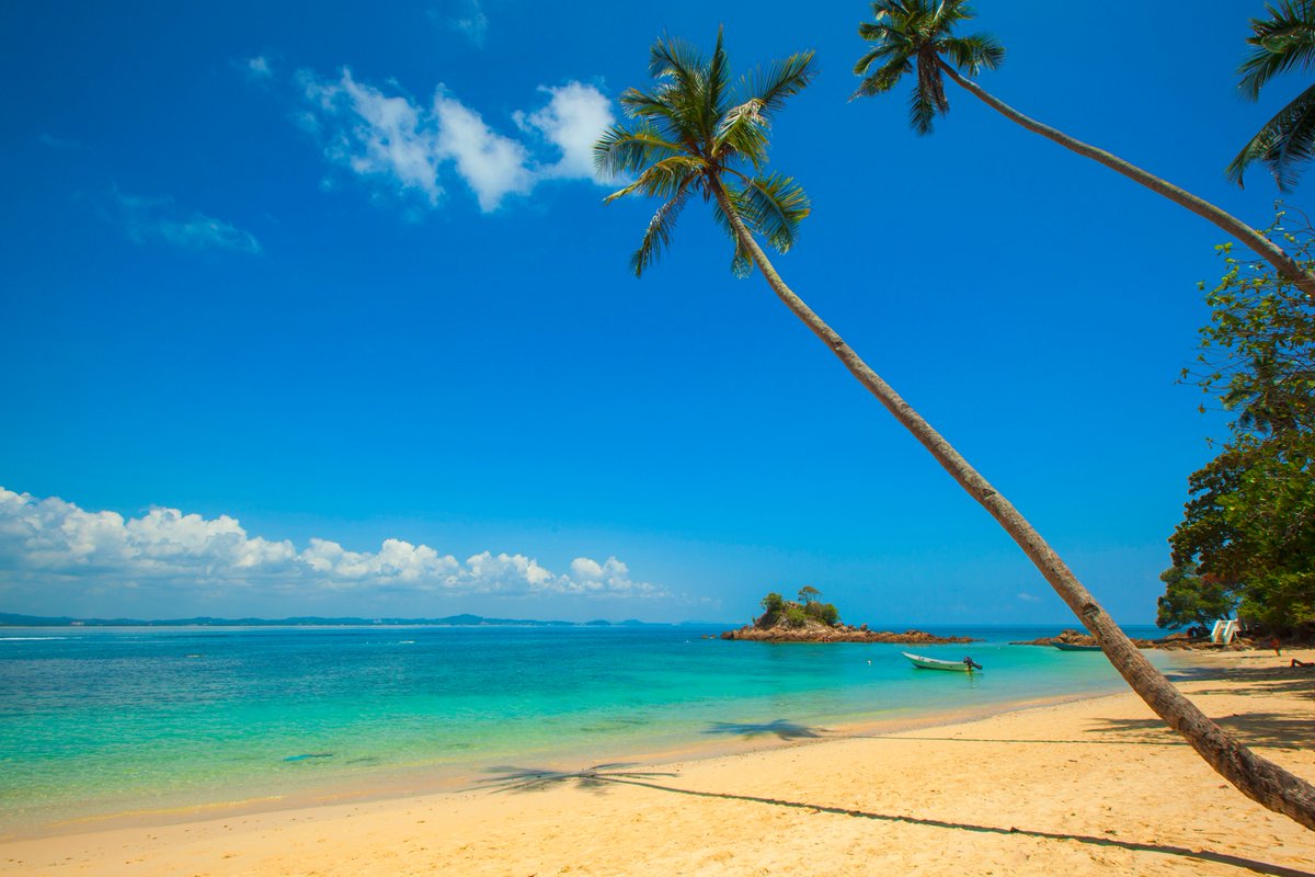 newcampushq's tweet image. #QLCProjects: If you&apos;re all about that #IslandLife, then you&apos;re going to love this project with @footloosapp! ☀️🌴 bit.ly/2rTaOpi