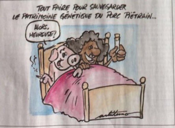 jrndudi's tweet photo. Dans @ladh , une caricature de la Députée provinciale @KMIsabelle aux relents nauséabonds ... #Stopdh #racismeordinaire #sexisme @DeontoloJ https://t.co/6wrqMgjT8G