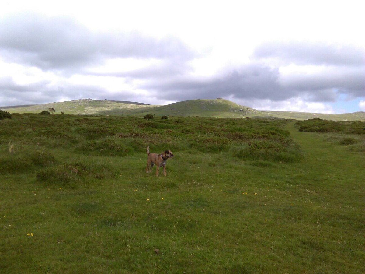 BenjyStuart's tweet photo. Dis me. On da moors! It was rainy n blowin' a gale! https://t.co/R5e6Fbj4QS