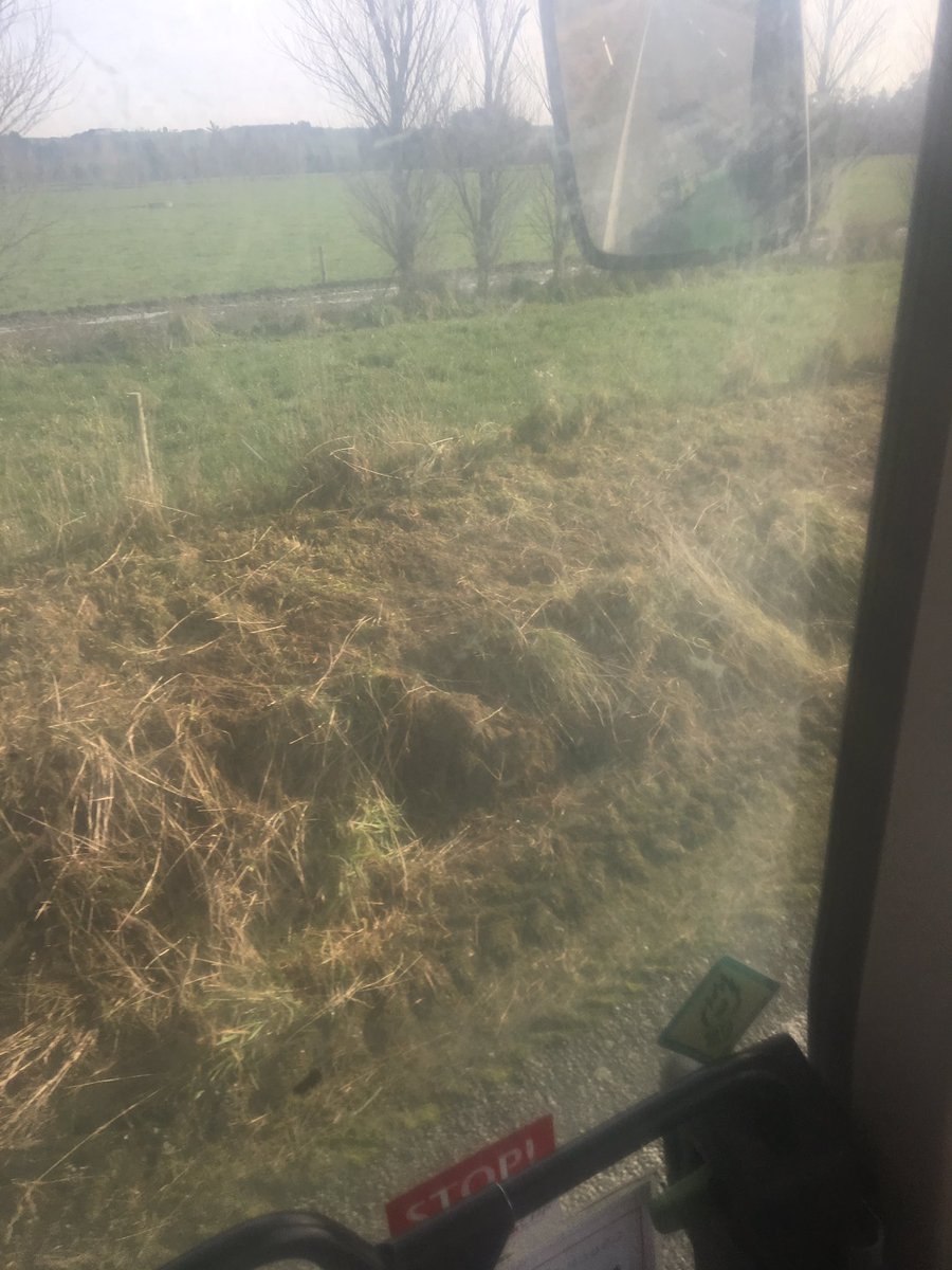 Mowing road sides take 1. In a couple of months will look sharp #localslookedconfused