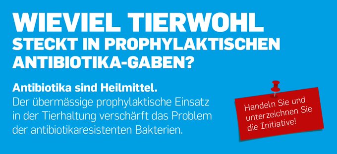 Bild auf Twitter anzeigen