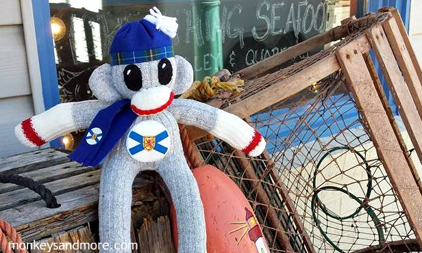 MaritimeTartan's tweet image. Good Morning #novascotia from us here at monkeysandmore.com Looking like an AMAZING day!!! #halifax #maritimes