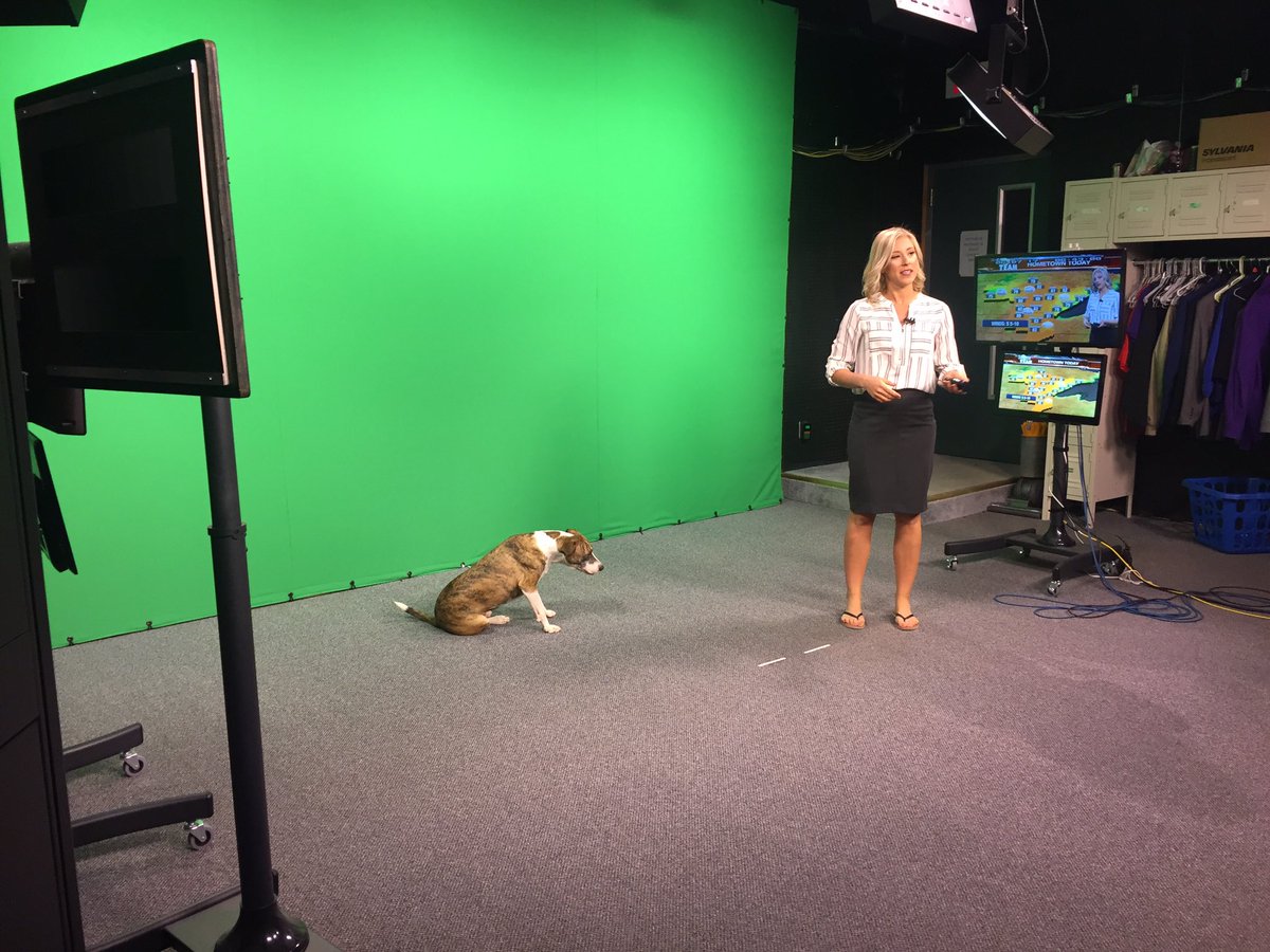 It's a sad day - <a href="/Dana_Zimmer/">Dana Zimmer</a>'s last day at <a href="/wdiowirt/">WDIO News</a>. She brought Rhett on the green screen to say goodbye!