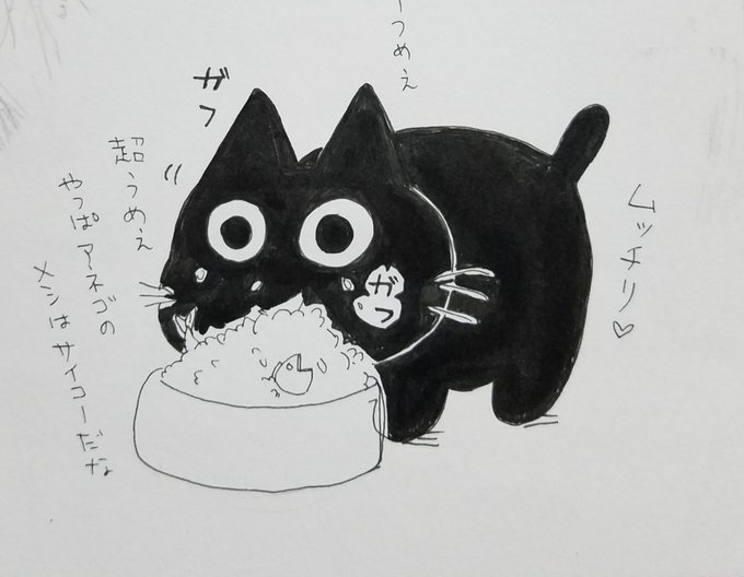 ぴのんさん の最近のツイート 3 Whotwi グラフィカルtwitter分析 ぴのんさん の最近のツイート 3 Whotwi グラフィカルtwitter分析