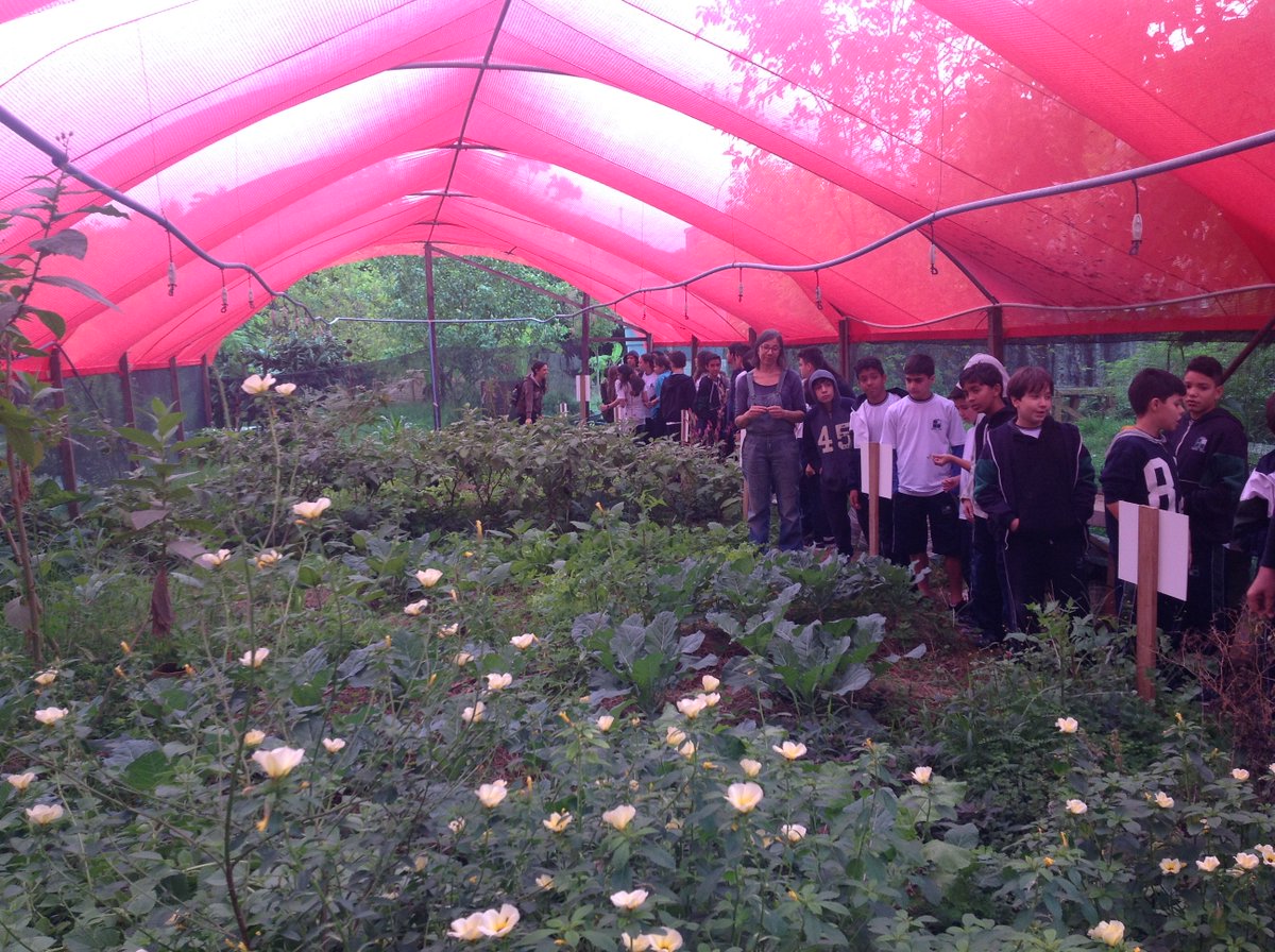 LiceuSantaCruz's tweet photo. Os alunos do Ensino Fundamental II e Ensino Médio, visitaram uma horta urbana localizada no bairro da Mooca - a Horta das Flores. https://t.co/oljUXC5378