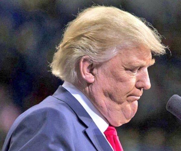 IvoTeParle's tweet image. #Trump déteste cette photo et a demandé à ce qu'elle ne soit pas publiée... Alors, en toute logique, partageons la ! 😇