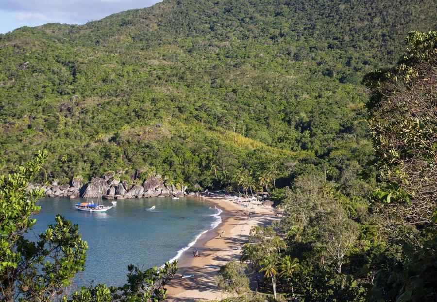 Limportant_fr's tweet photo. Brésil : la déforestation de la forêt Atlantique a augmenté de 60% https://t.co/16CnPIWN4i #Planète https://t.co/45nYYkLCX4