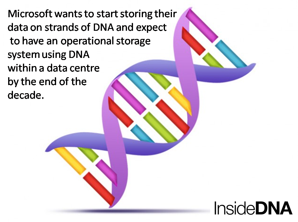 inside_dna's tweet photo. https://t.co/UTGcntVdti #Bioinformatics  #Geno https://t.co/CKC2jbjTYH