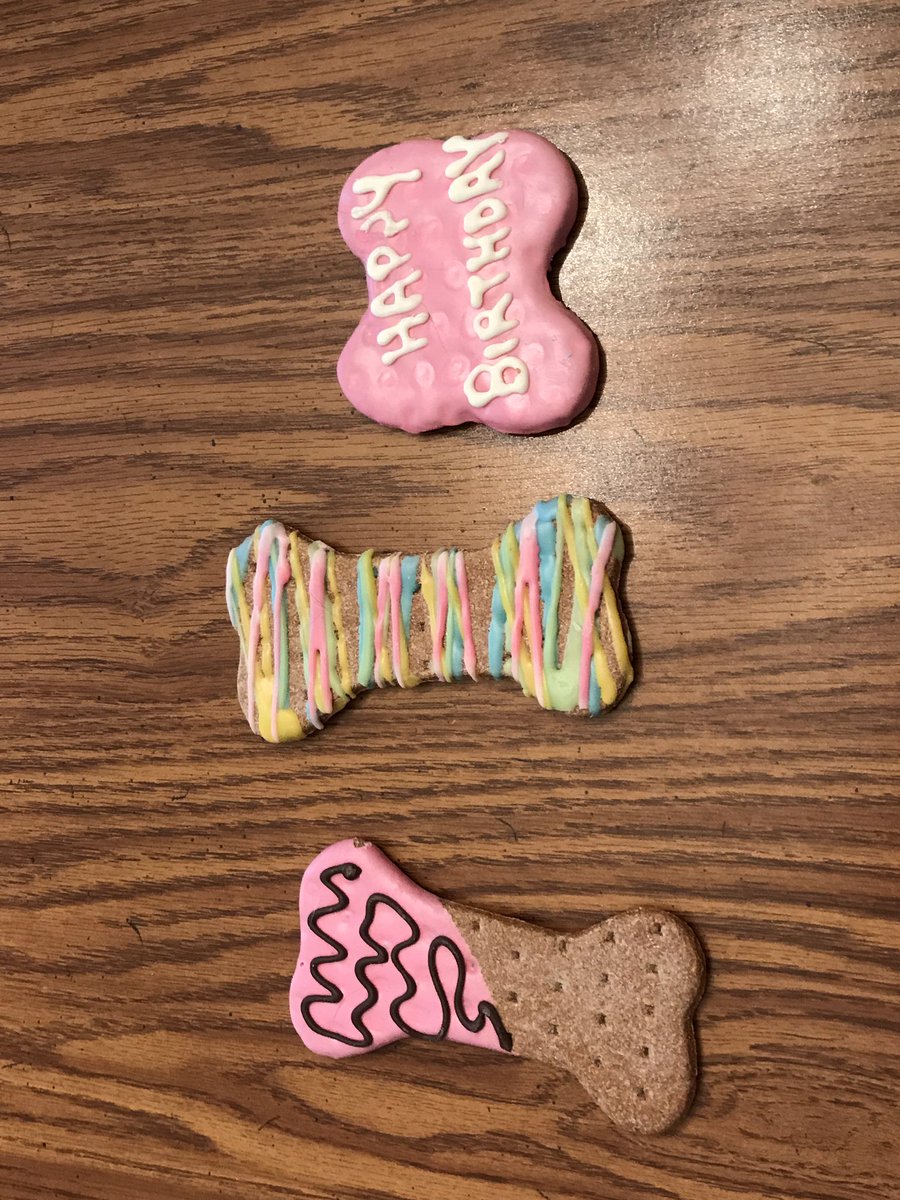 Guess who's birthday it is???  It's mine!I'm 2 years old today! #itsmybirthday #prettiestoneeyedpugever <a href="/ThePghGrumble/">ThePittsburghGrumble</a> #TinkerbelleTurnsTwo