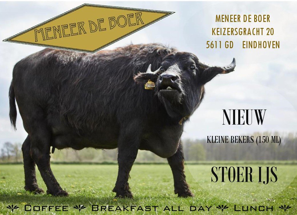 Joehoe! De kleine bekers Stoer IJs met de smaken StracciaBella, Cookie Doerak en FroukyCherry zijn vanaf nu ook >> instagram.com/p/BVCZxR3hHzf/