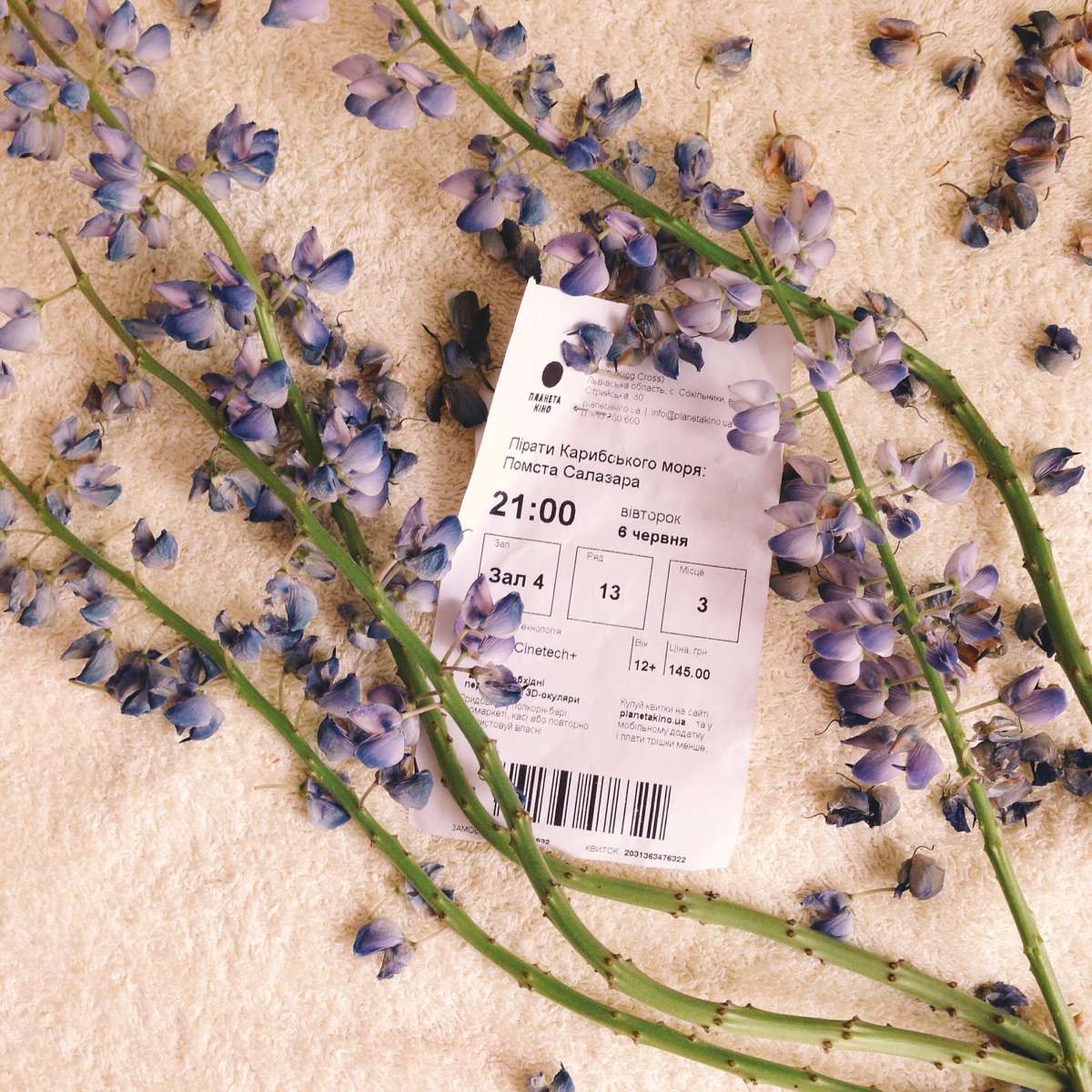 Істеричка Ігуана tweet media