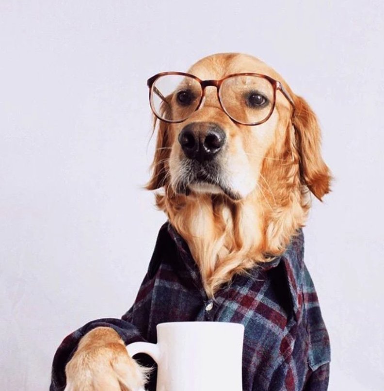 coffeeblogger1's tweet photo. You'll see… I'm a lot wiser after I've had my cup of coffee. https://t.co/ssrNyLkUDE