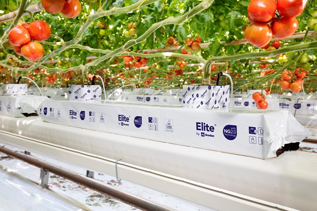 Grodan's tweet photo. https://t.co/fuMkSh9Xxd Grodan launches crop-specific slabs for tomatoes and sweet pepper https://t.co/CnoDlbv4bm
