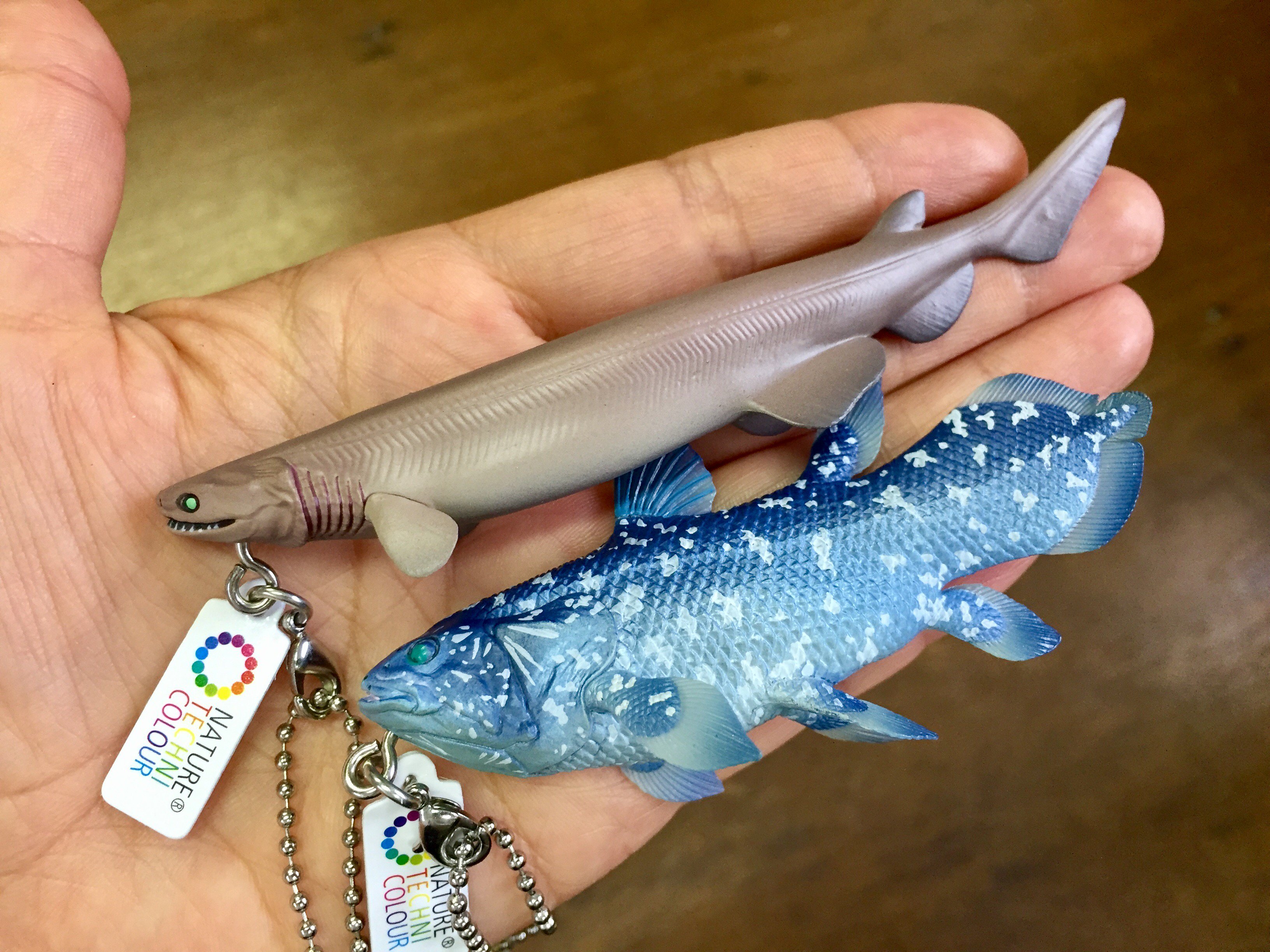 ネイチャーテクニカラー　深海生物　8種　深海生物2 8種 8 Amazing Deep Sea Creatures 2 / Nature Techni Colour MONO