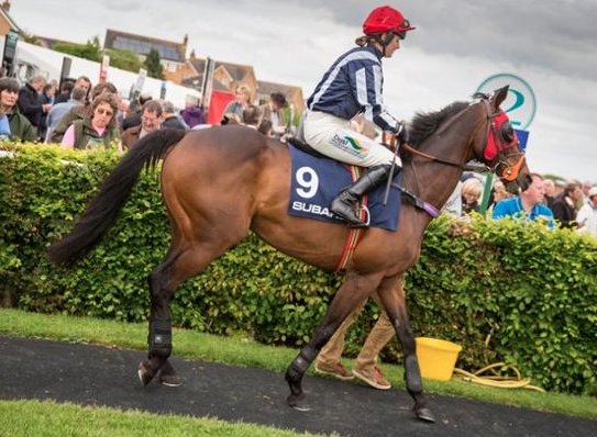 SubaruUKP2P tweet media