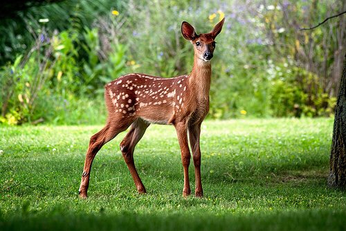 cliquetv's tweet photo. Biche better have my money https://t.co/uzV8rJMReF