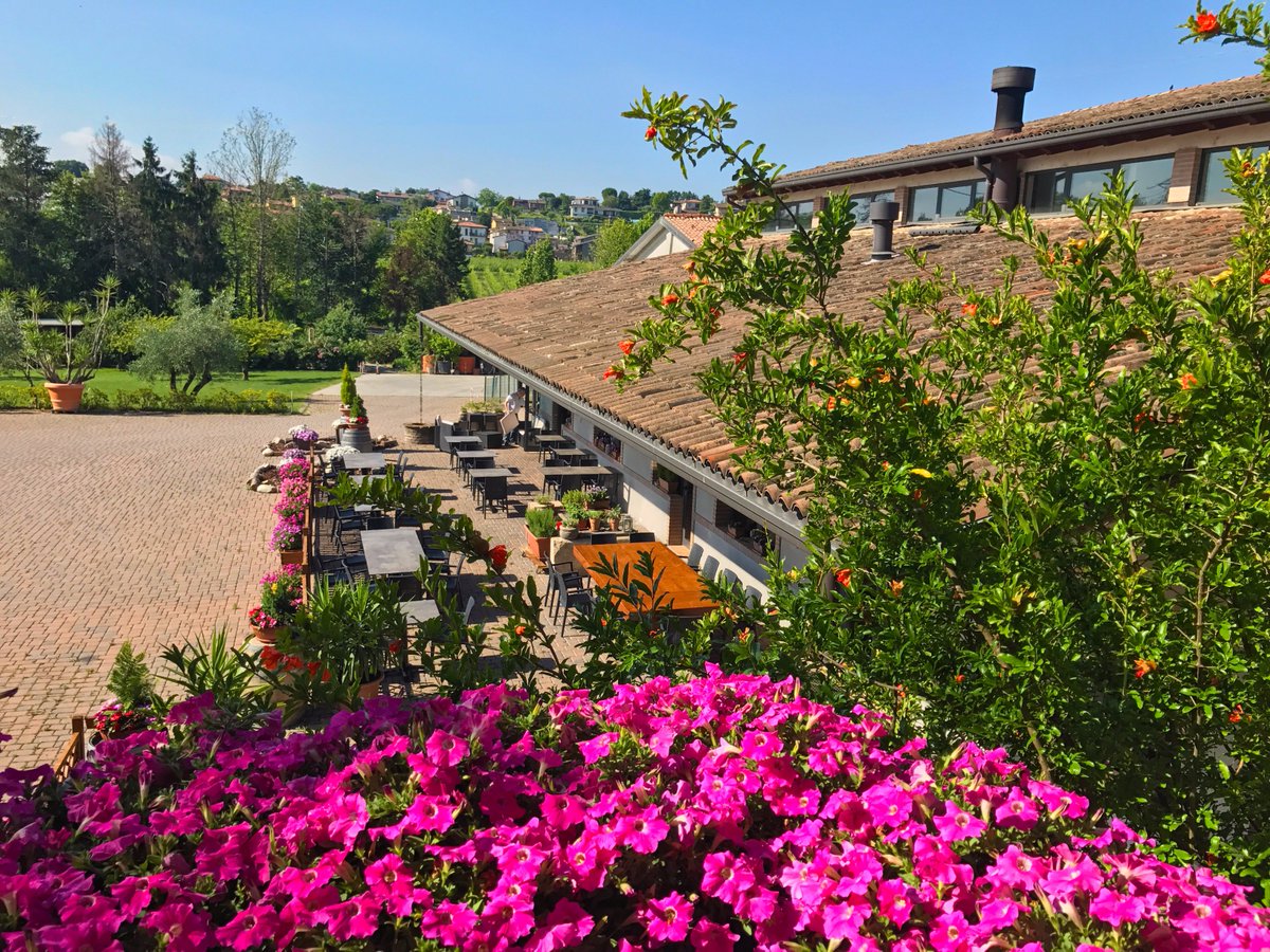 FraccaroliVini's tweet photo. Buongiorno! https://t.co/UZvgL2RUX3