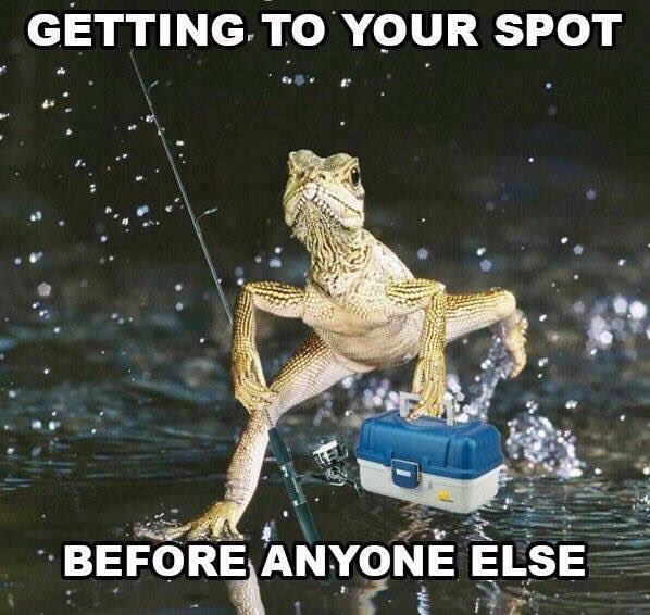 EsfSports's tweet photo. #fishing https://t.co/Ejldsayy2j