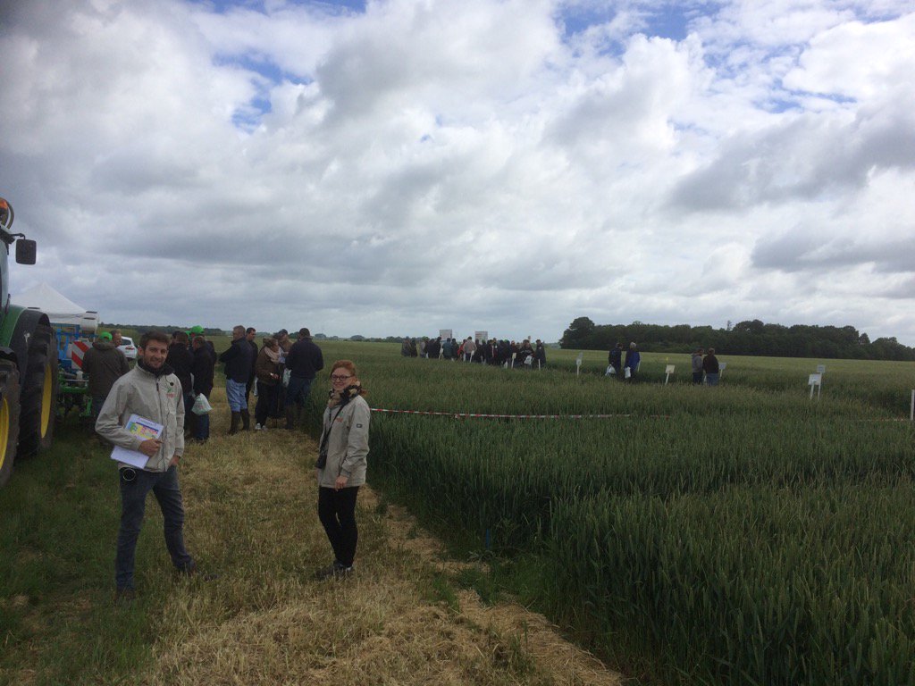 DionStecaif's tweet photo. Désherbage et agronomie aux plates formes chambre agri Idf @CAIDF #desherbage https://t.co/OwxvqHJs0y