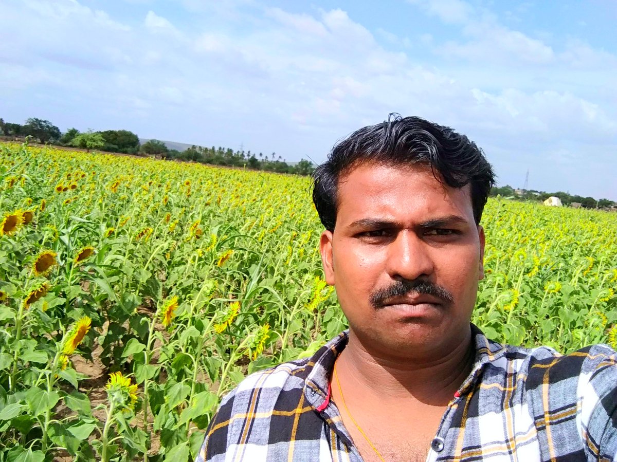 Good afternoon sweet  tweet friend s