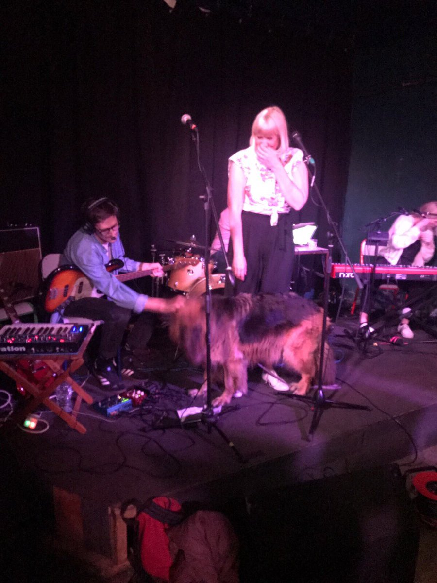 Stacca's tweet photo. Thanks to everyone that came down to the gig last night. It was so much fun! @WylesandSimpson we're beautiful and my pup Roxy guested. https://t.co/0GekXeGgGE