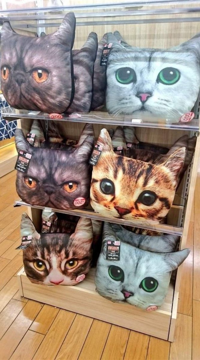 daiso cat cushion