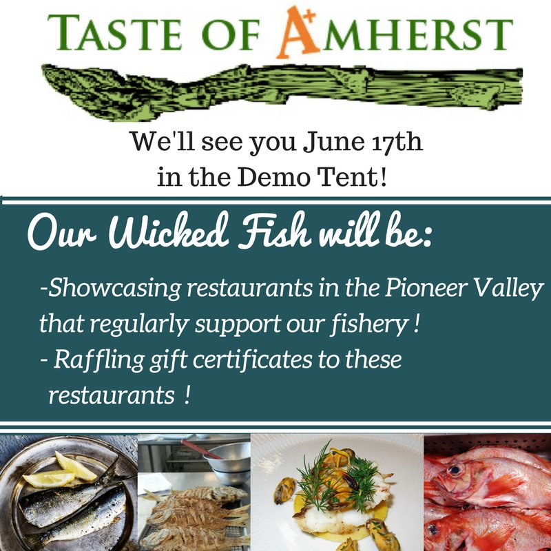 OurWickedFish's tweet photo. Will we see you there at the Taste of Amherst on June 17th? https://t.co/2b7LciscXF