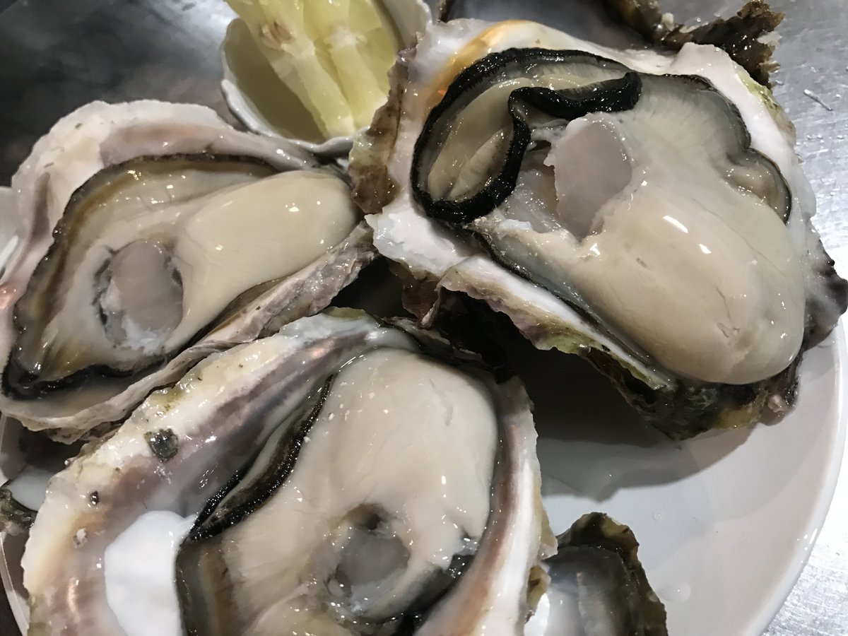 チャンピーノ Ciampino9 Twitter