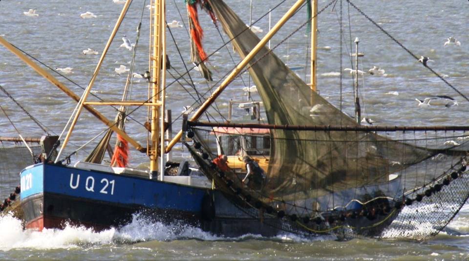 050Legal's tweet photo. Lekkere hapjes, garnalenkotter, inspirerende ondernemers oftewel, Netwerken op het Wad. MIS HET NIET! https://t.co/kRCRyLACl2 https://t.co/oNLkrOQTJg