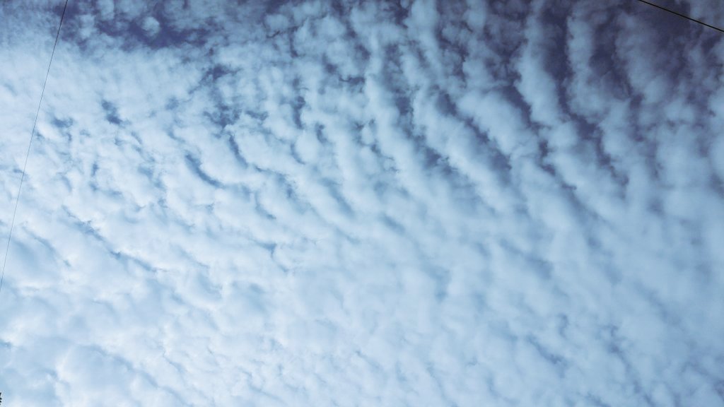 비 그친 하늘의
구름이 금방이라도
쏟아져 내릴것 같다.