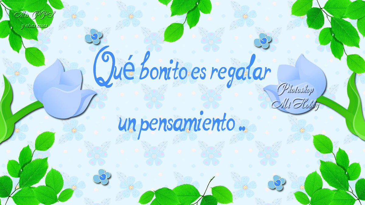 Olga Tapia tweet media