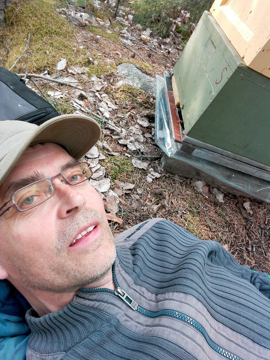 listening bees, finland 2017 听蜂蜜，芬兰2017年