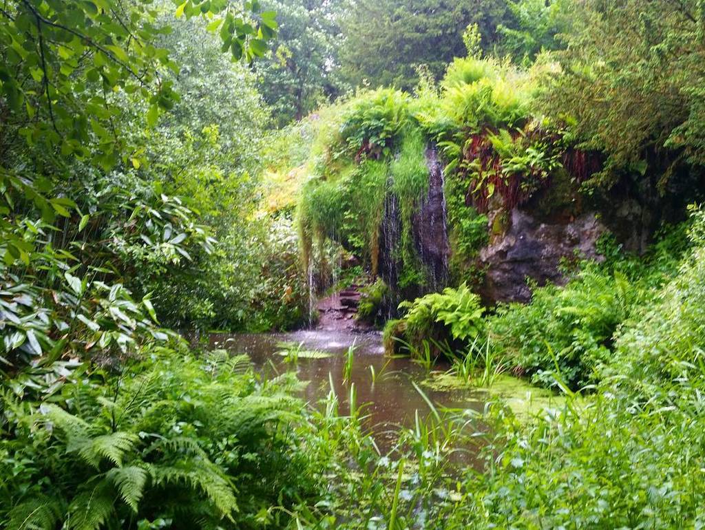 PCCravings's tweet photo. Ireland is quite possibly the greenest place on earth.
#ireland #irish #green #travelblogger #waterfall #travelphotography #nature #irishc… https://t.co/CkFERJLQs5