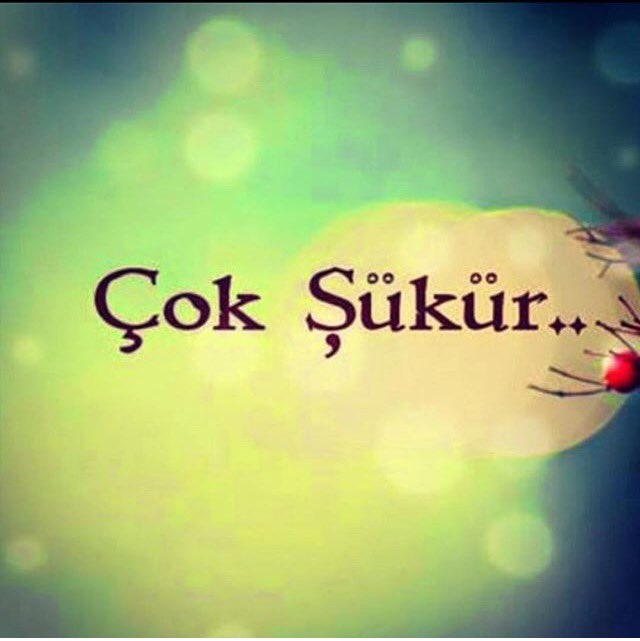 me__pu__'s tweet photo. Bugünlere ve yarınlara çok şükür Allah'ım 🙏🏻 https://t.co/WhicbYXkNB