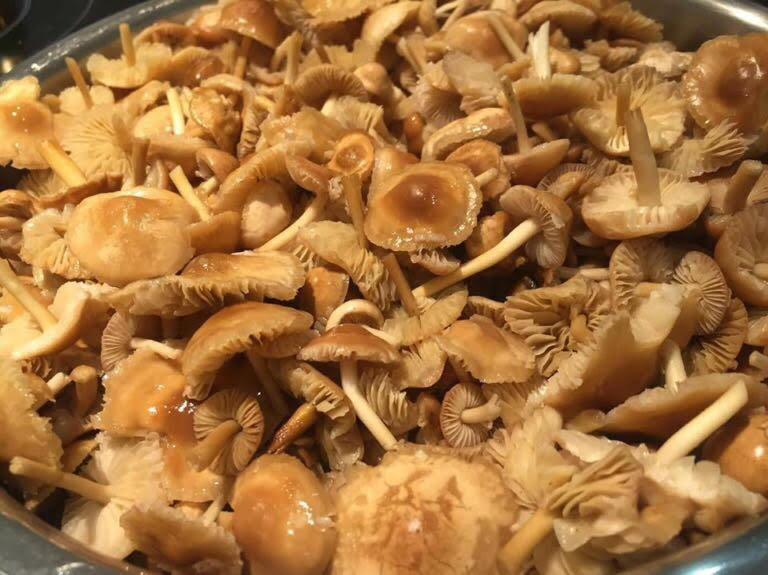 DespensaEmelin's tweet photo. Este fin de semana en La Despensa, os muestro como conservar las setas de primavera! Os espero! https://t.co/nfwq4SnrG1 🍄����🌞 https://t.co/ukqNtgTS2t