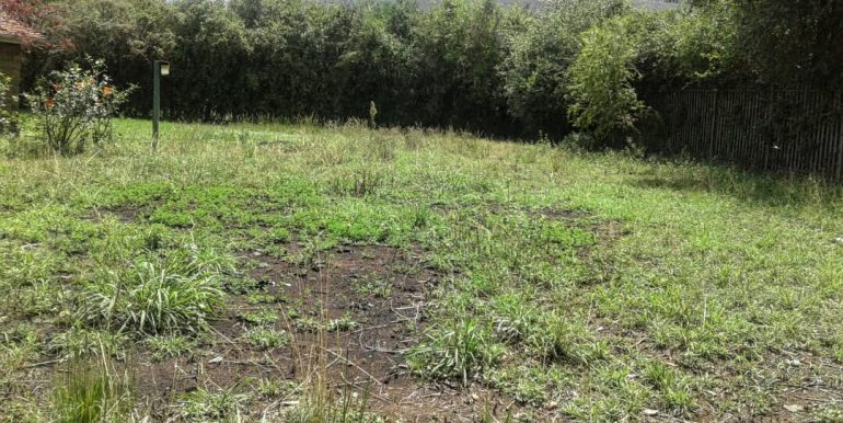 afrihome's tweet photo. Prime Land For Sale In Upper Hill  along Elgon Road and adjacent to Radison Blue Hotel
Call  for viewing
PRICE KSHS 1.5M
CALL +254706801784 https://t.co/nhZOxqMHxI